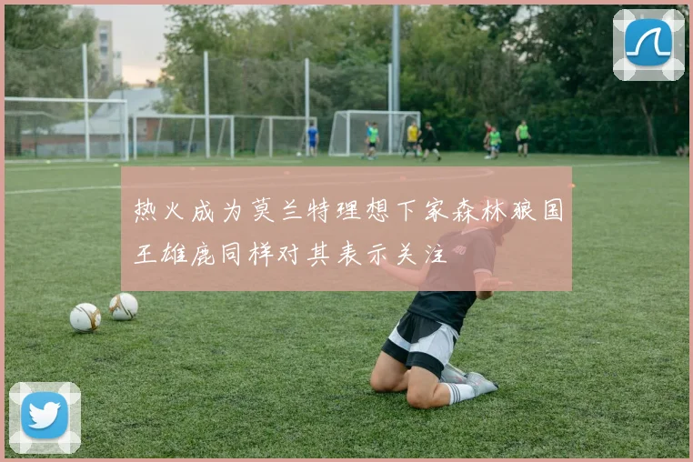 热火成为莫兰特理想下家森林狼国王雄鹿同样对其表示关注