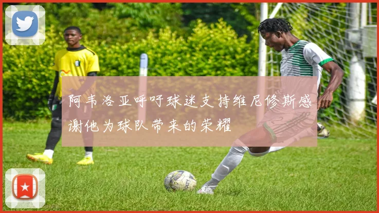 阿韦洛亚呼吁球迷支持维尼修斯感谢他为球队带来的荣耀