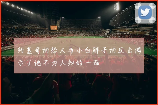 约基奇的怒火与小白胖子的反击揭示了他不为人知的一面