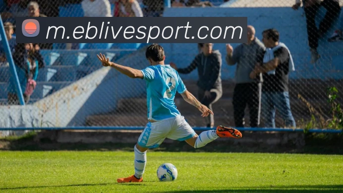 App Interface Preview